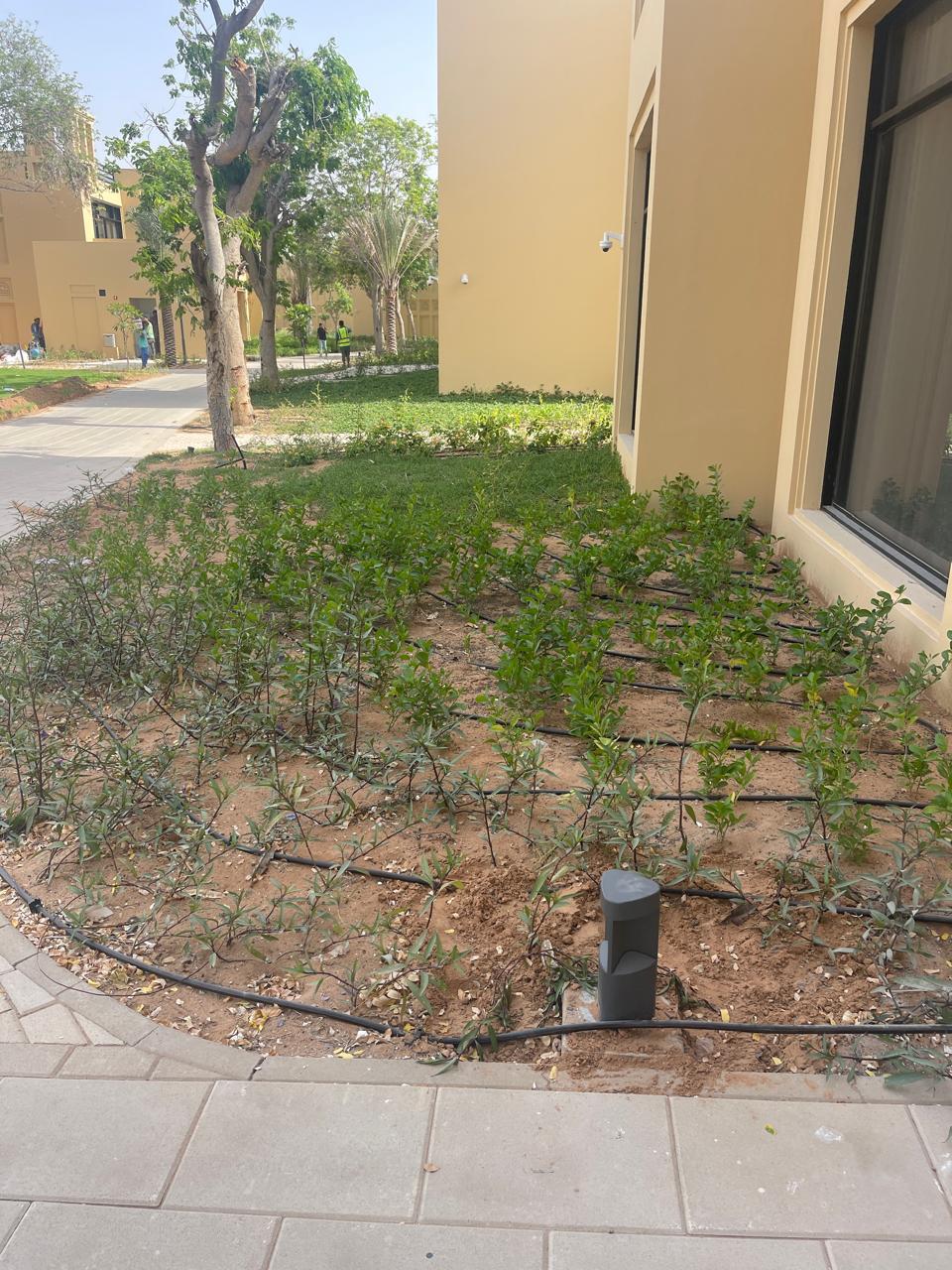 Landscaping with Al Bania 16